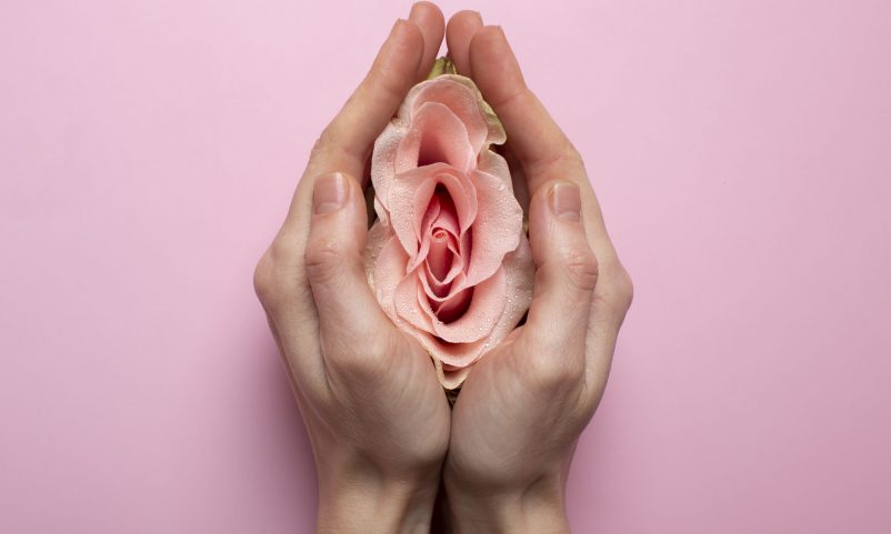 Woman holding rose in hands for reproductive system visualization